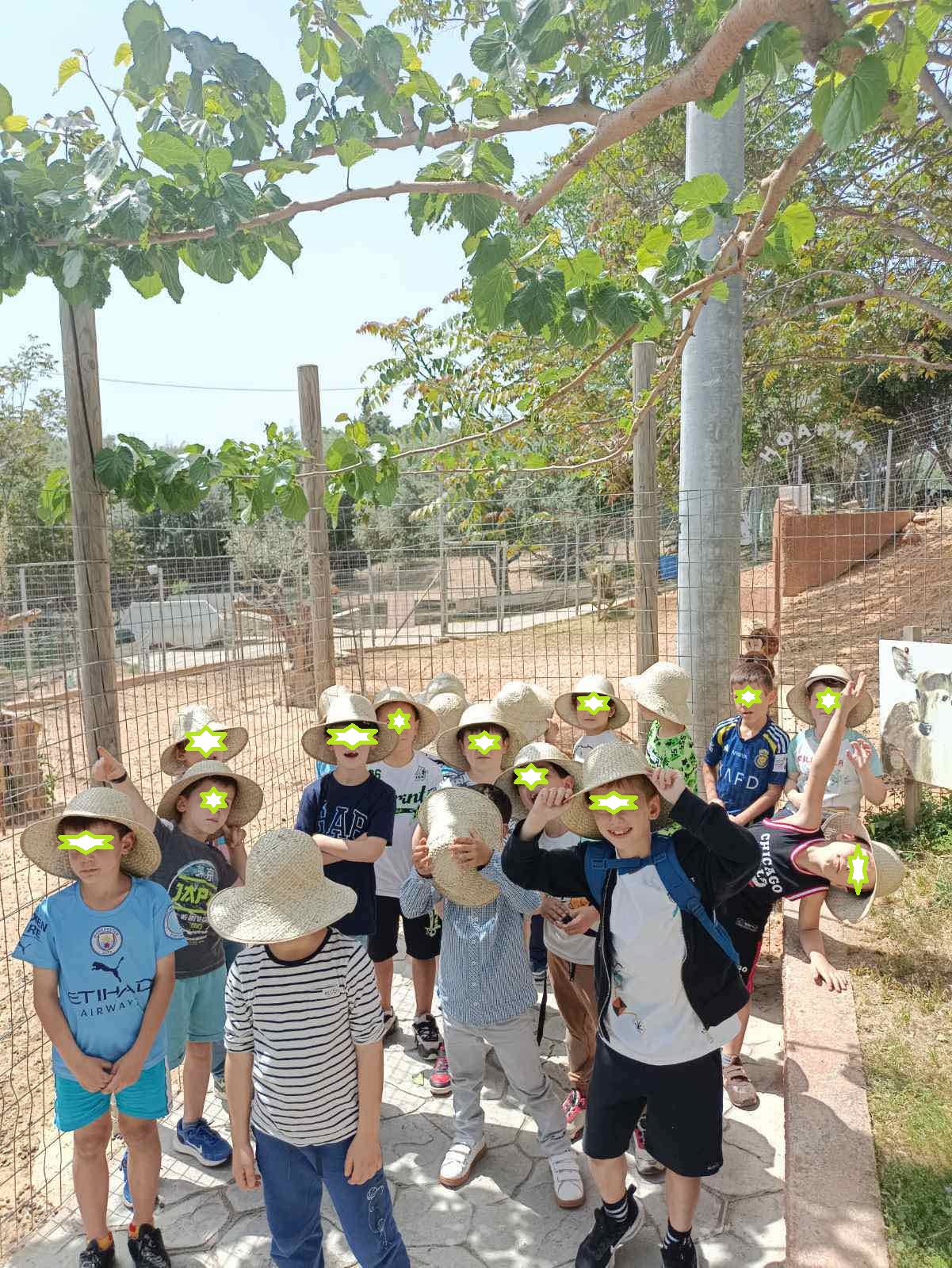 paradise park 2 A 2025